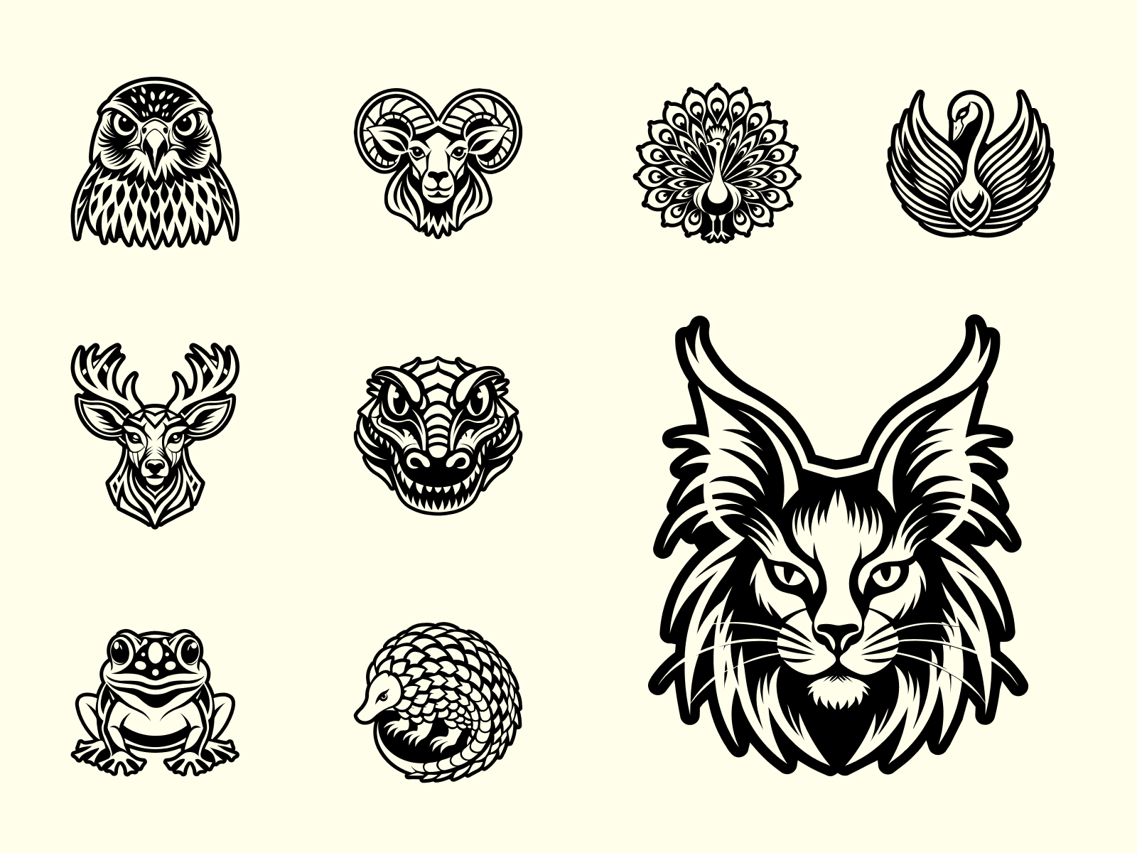 Product preview